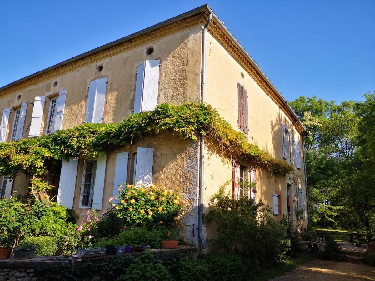 Mule Bed and Breakfast Lagardere Exteriör bild