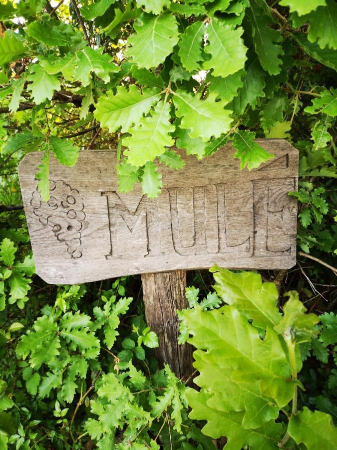 Mule Bed and Breakfast Lagardere Exteriör bild