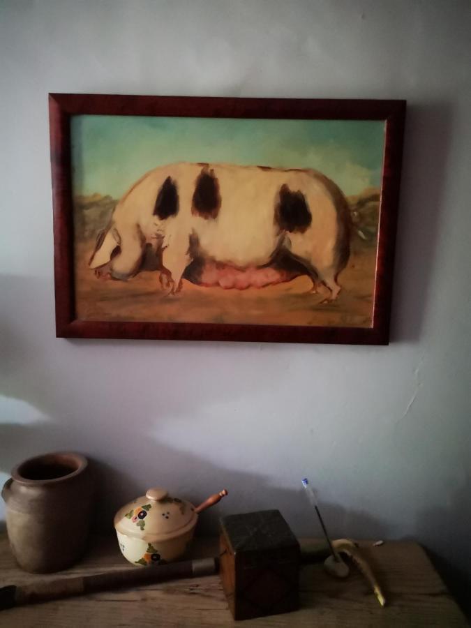 Mule Bed and Breakfast Lagardere Exteriör bild